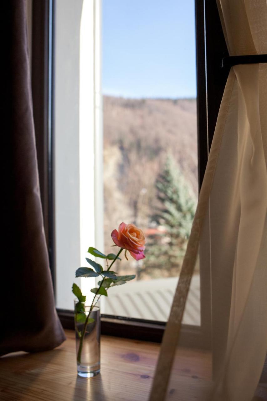Baron Spa Hotel - Museum Yaremche Eksteriør billede